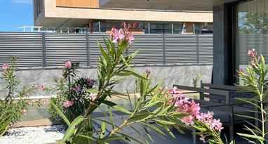 Фото №4. КП Аморе на ул Вдадимировской